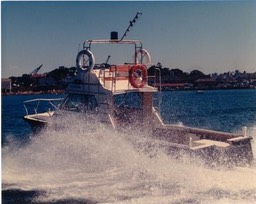 0801SHARKCATONPATROL